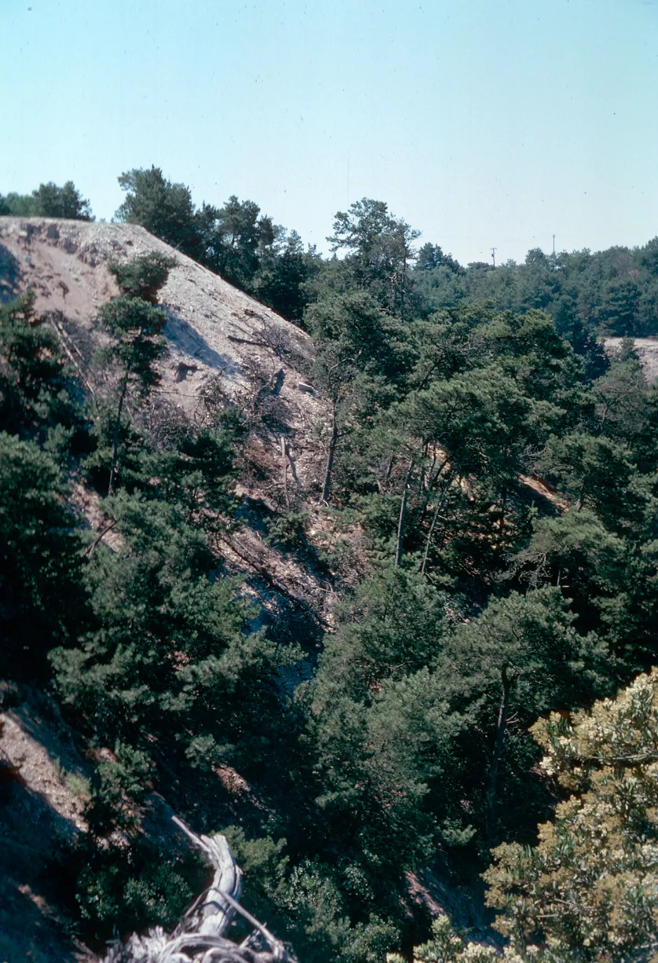 Pine Canyon, Orcutt