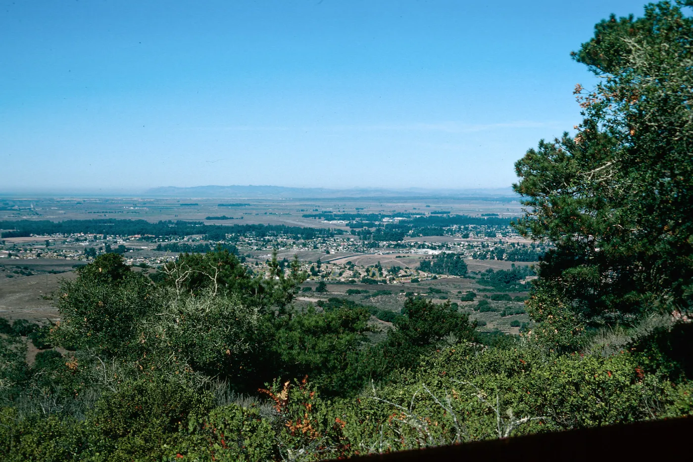 Pine Canyon, Orcutt