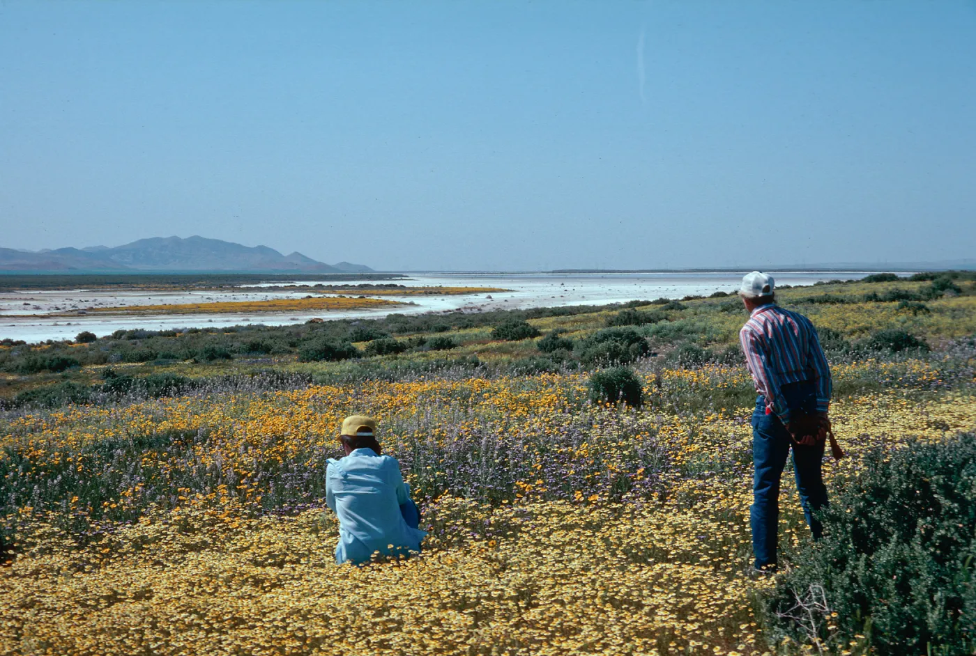 Soda Lake
