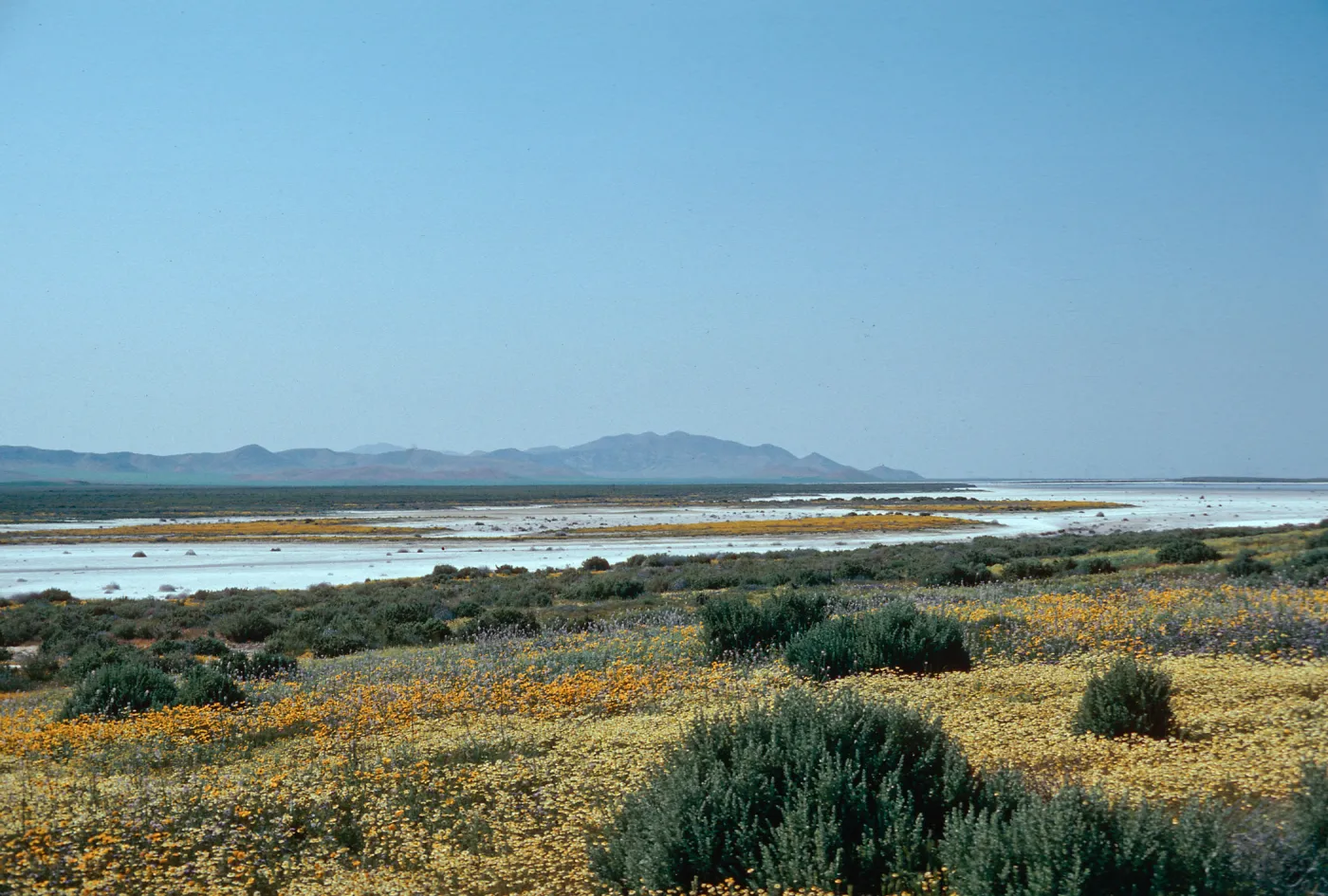 Soda Lake, Carrizo Plain