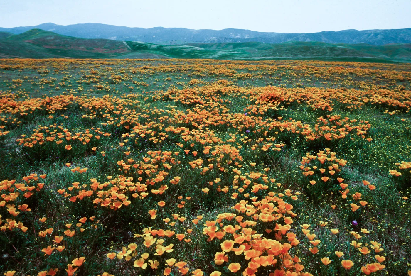 Soda Lake Road