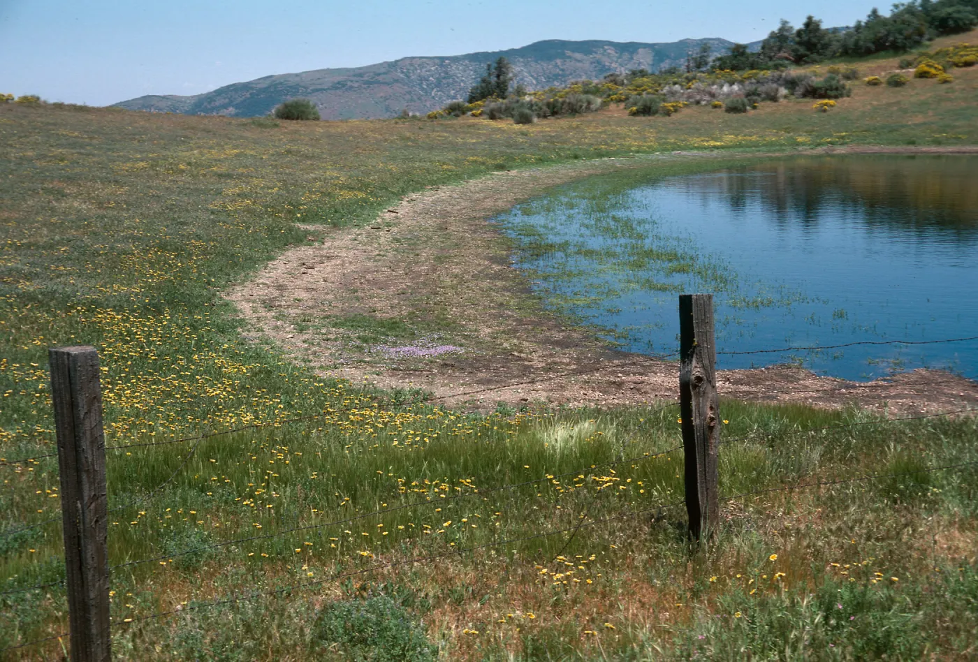 Vernal Pond, Mt. Abel