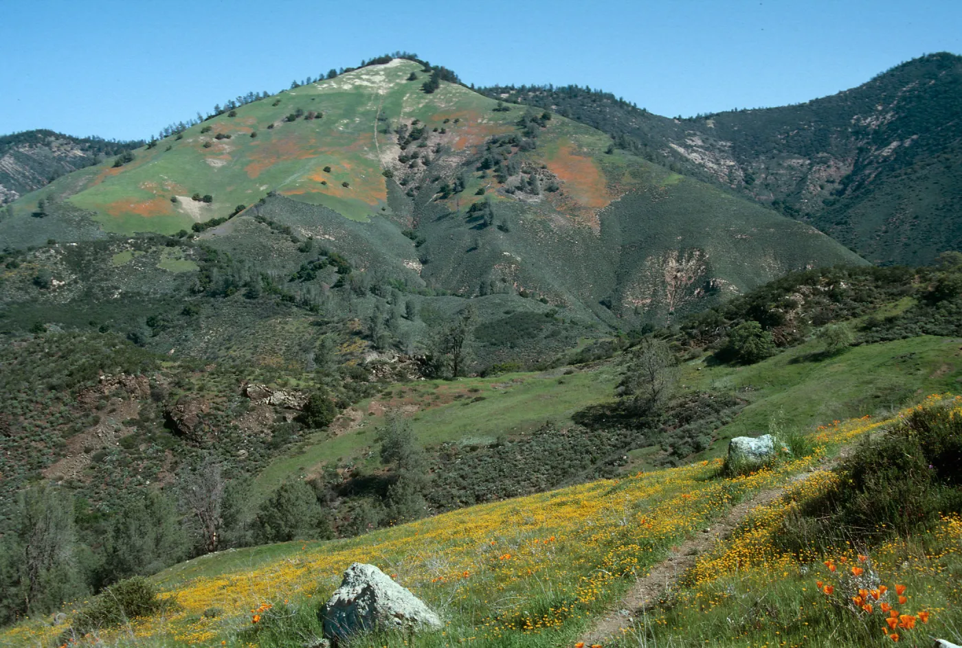 Figueroa Mountain