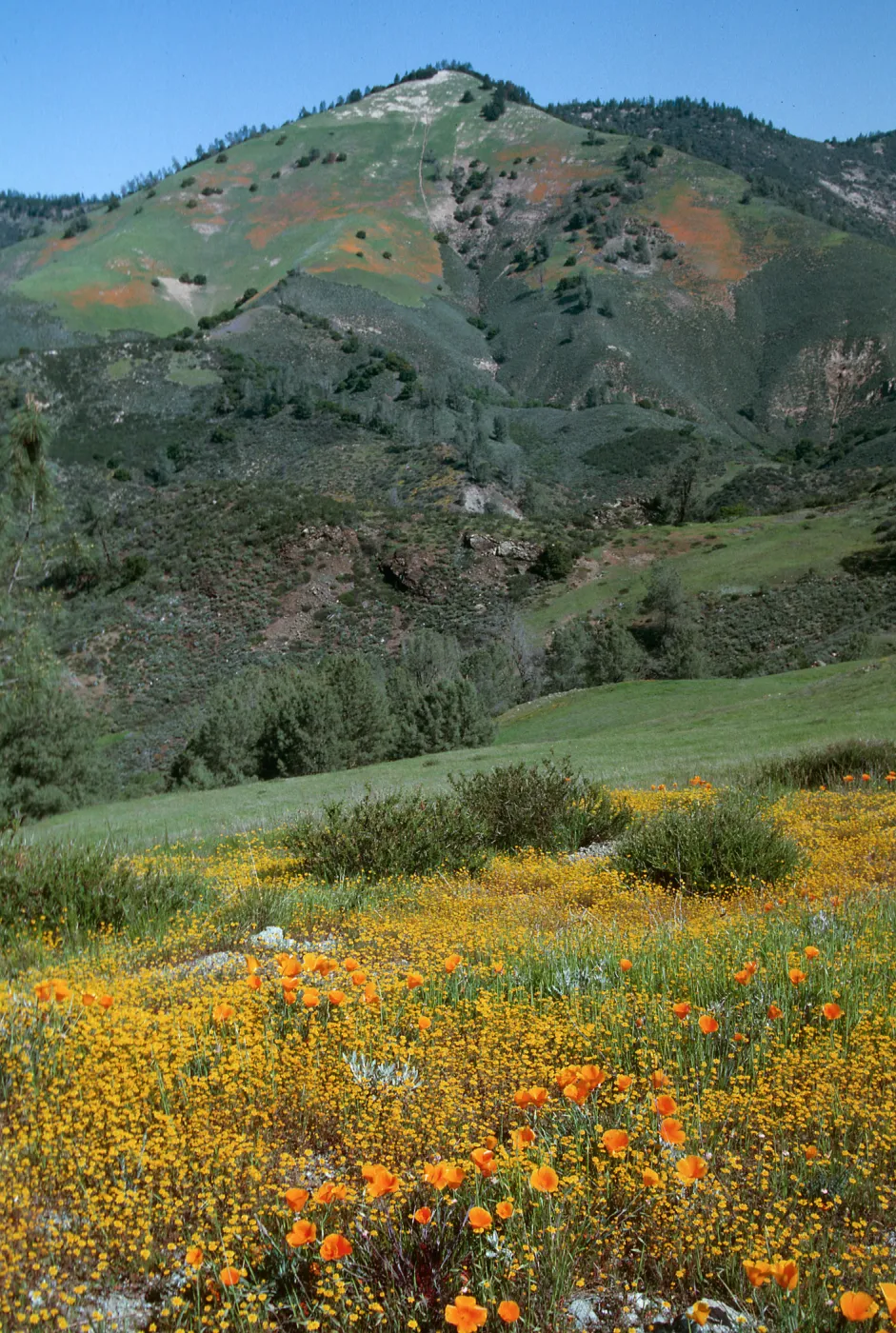 Figueroa Mt