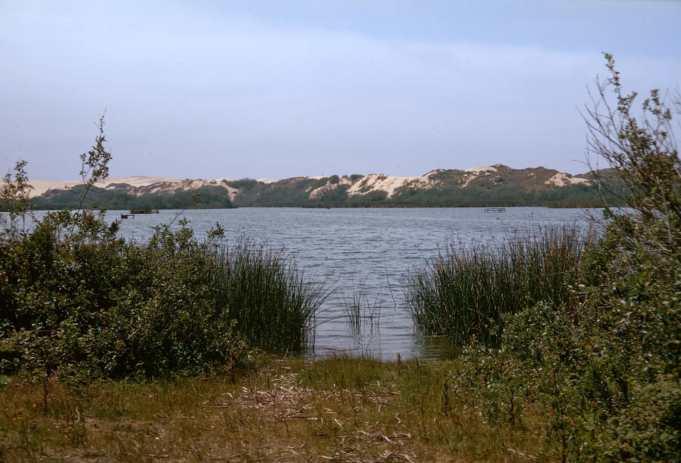 Dune Lakes