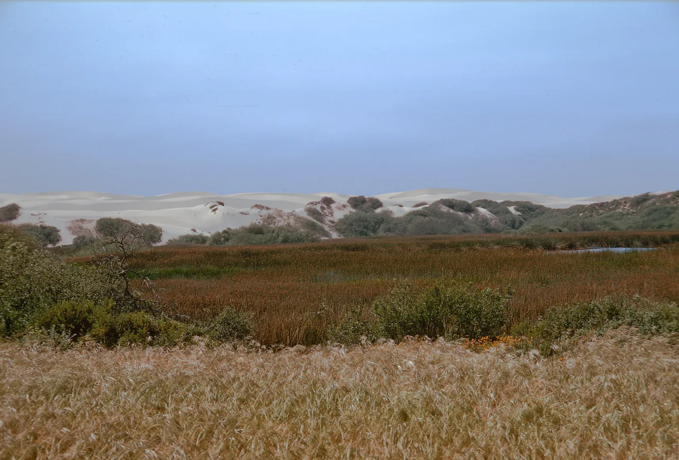 Dune Lakes