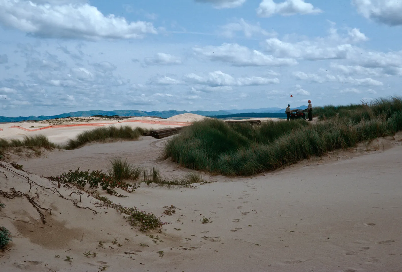 Oso Flaco Beach
