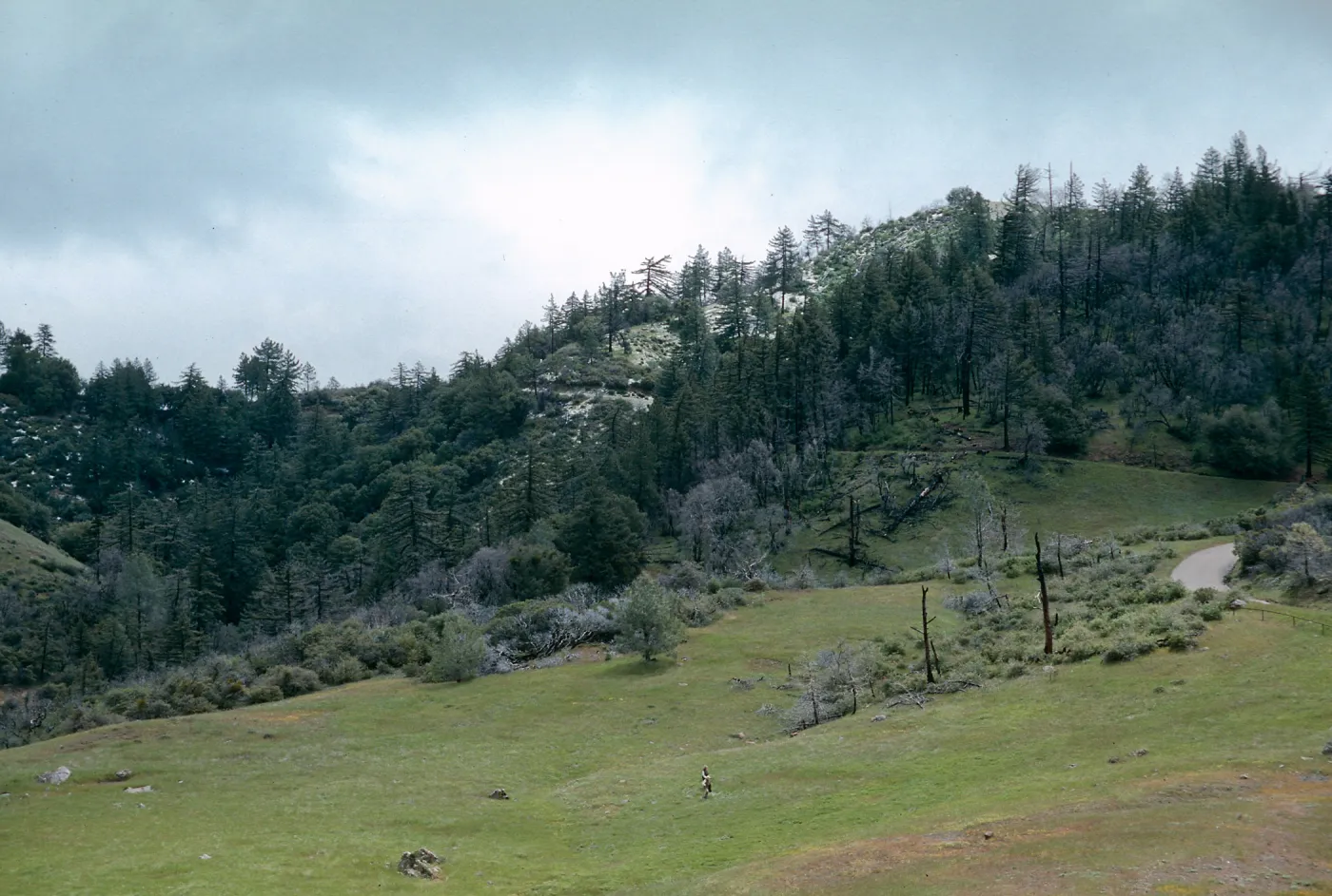 Snow, Ranger Peak