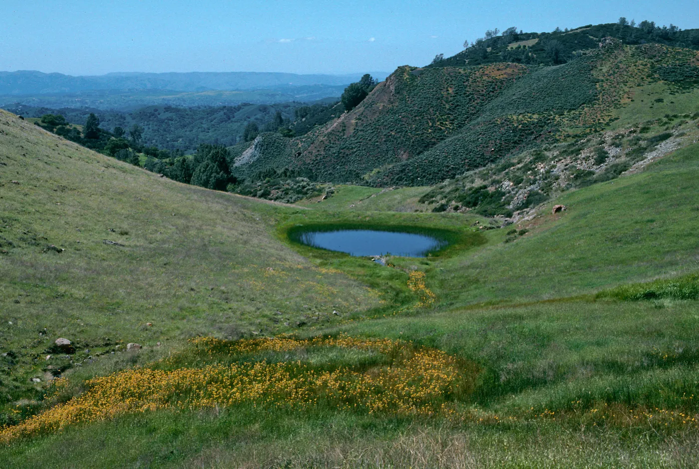 Sedgwick Ranch, Figueroa