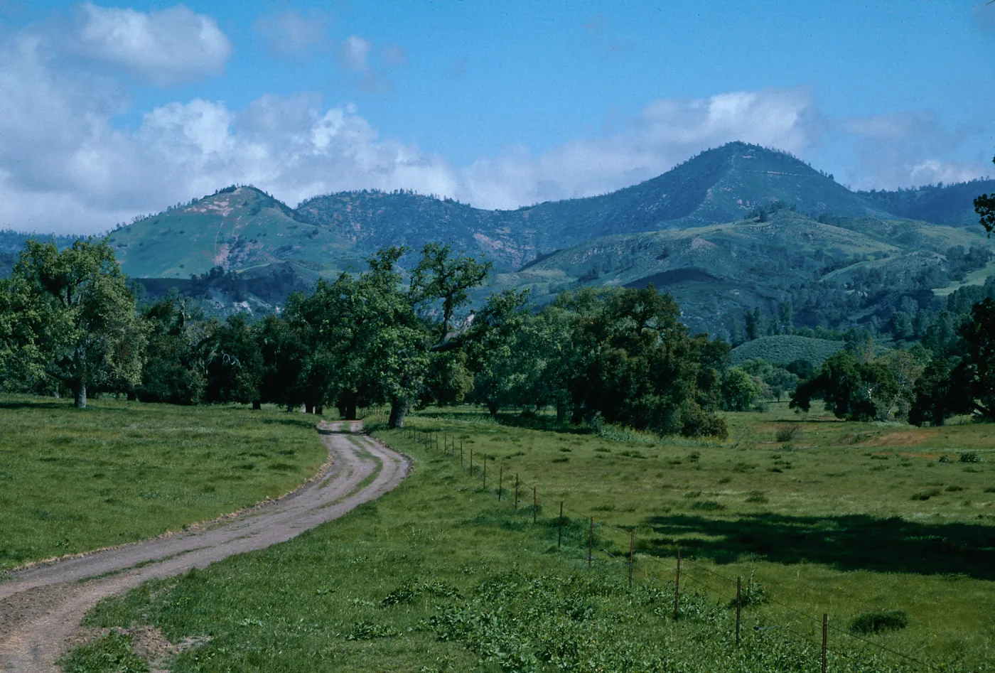 Sedgwick Ranch, Figueroa