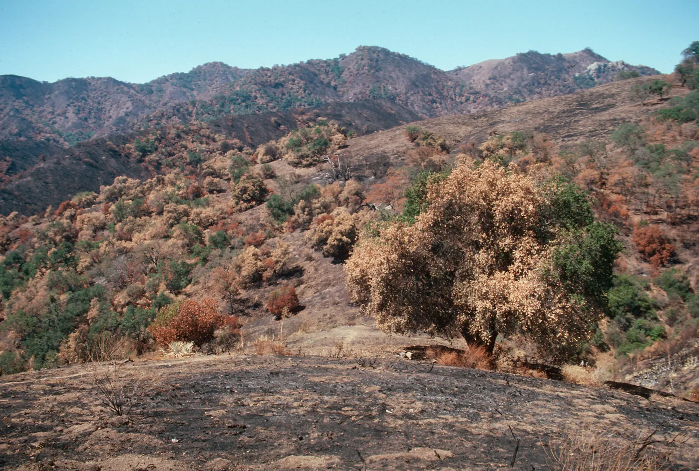 San Luis Obispo