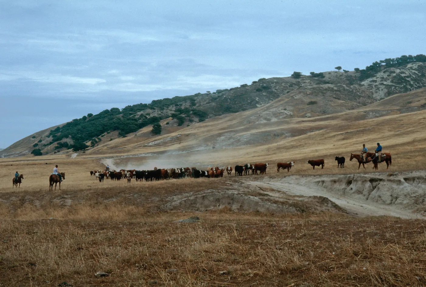 Santa Rosa Island
