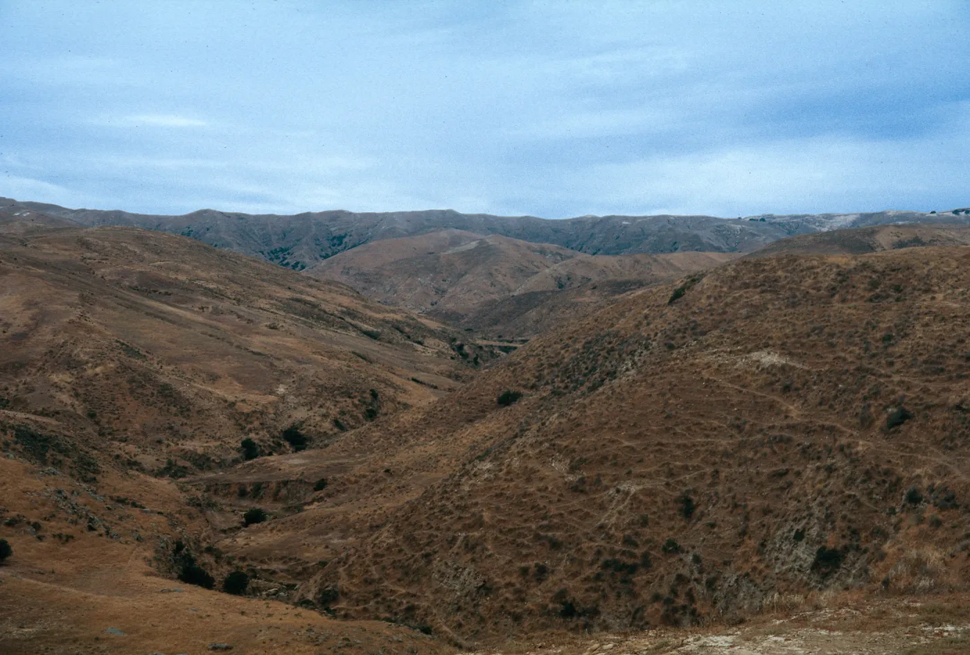 Santa Rosa Island