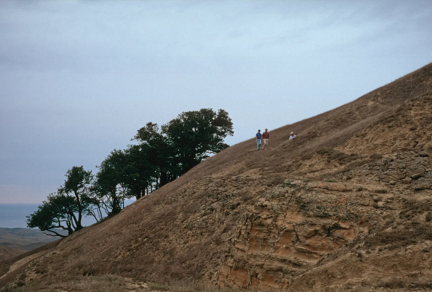 Santa Rosa Island
