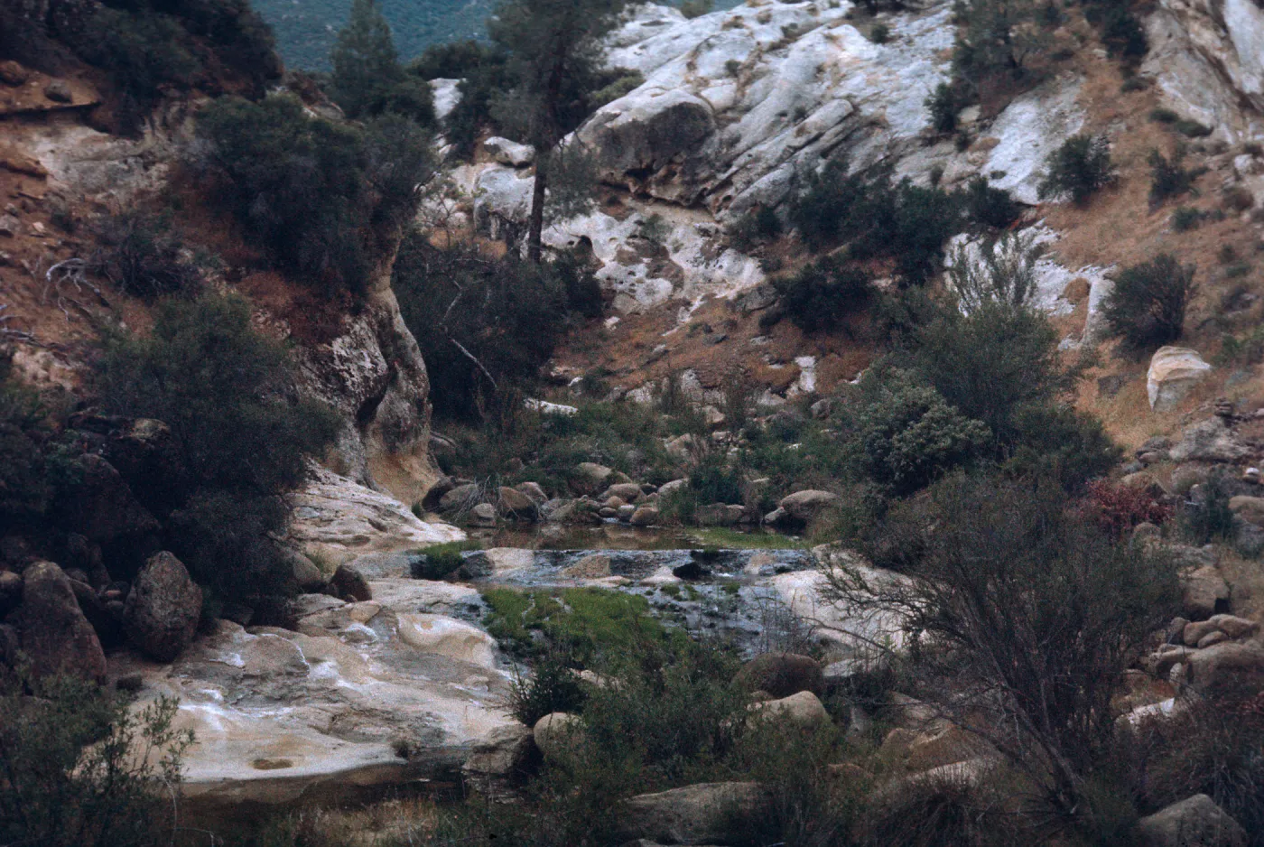White Ledge Creek, Hurricane Deck