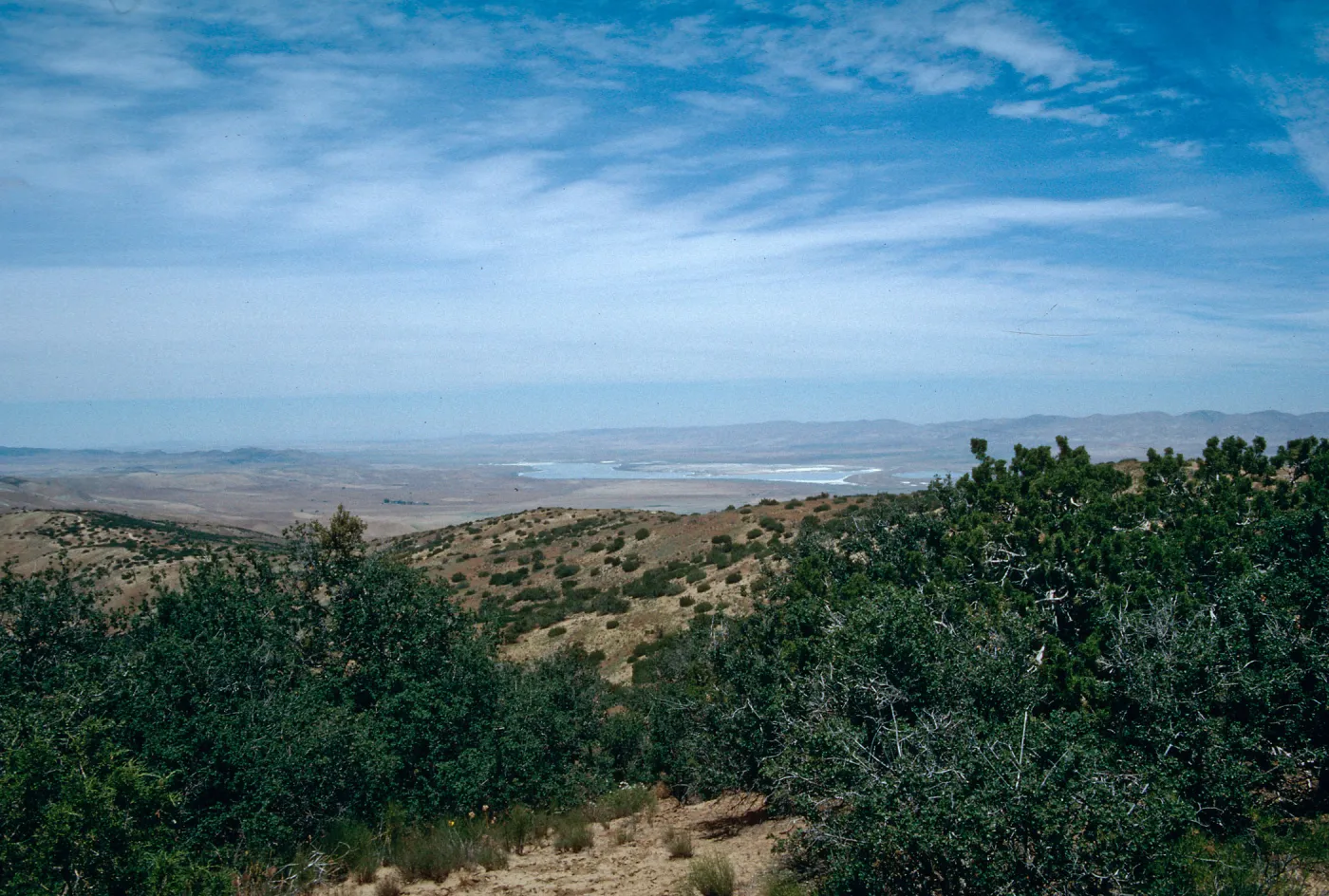 Soda Lake