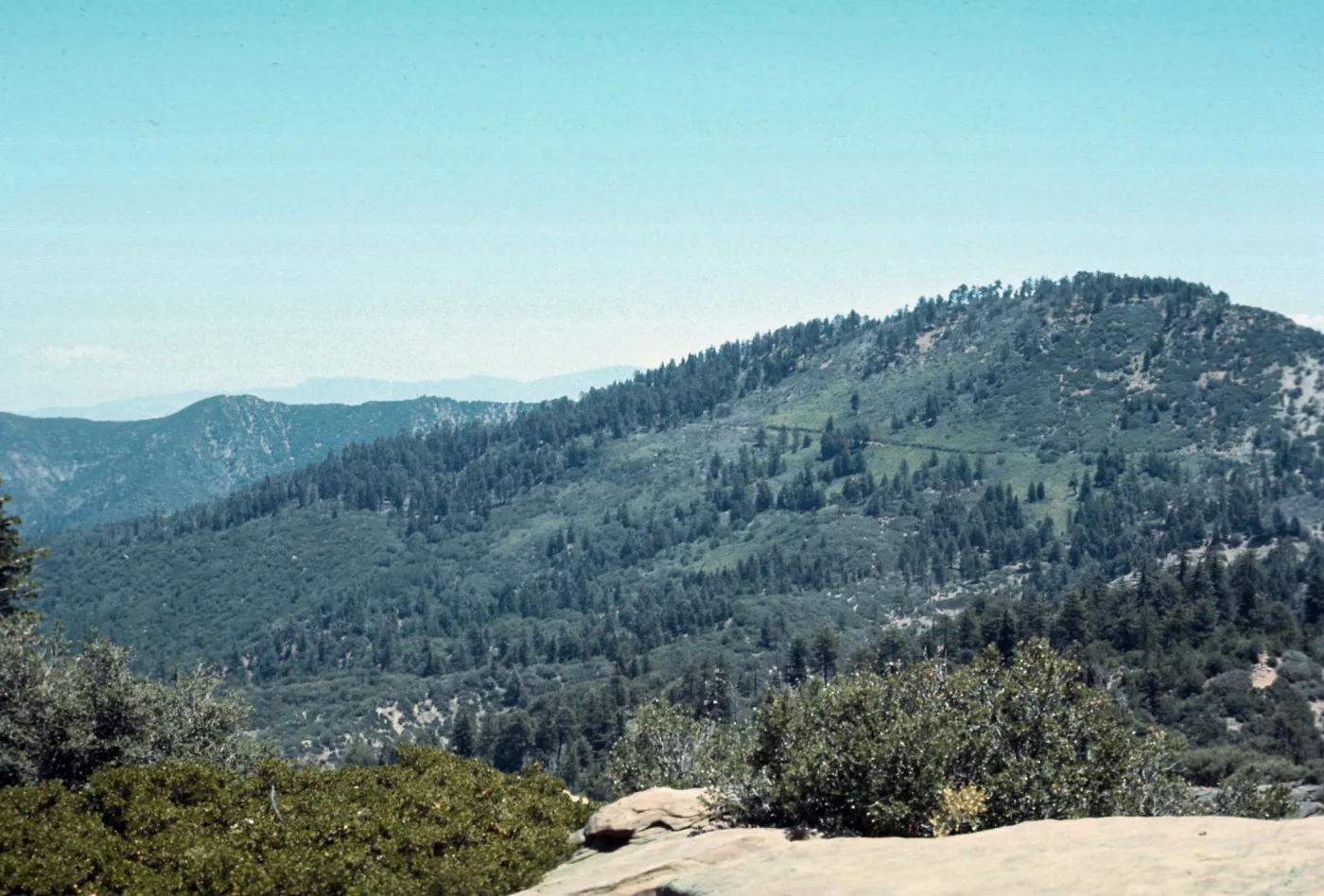 Big Pine, Los Padres National Forest, Santa Barbara County