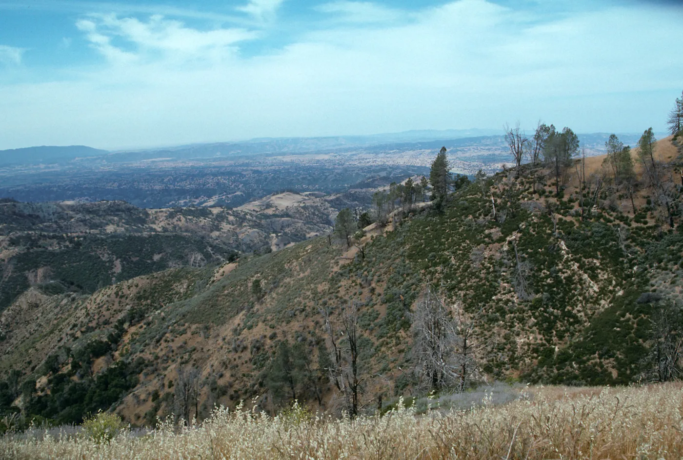 Looking west, Cat-Way, Figueroa Mountain