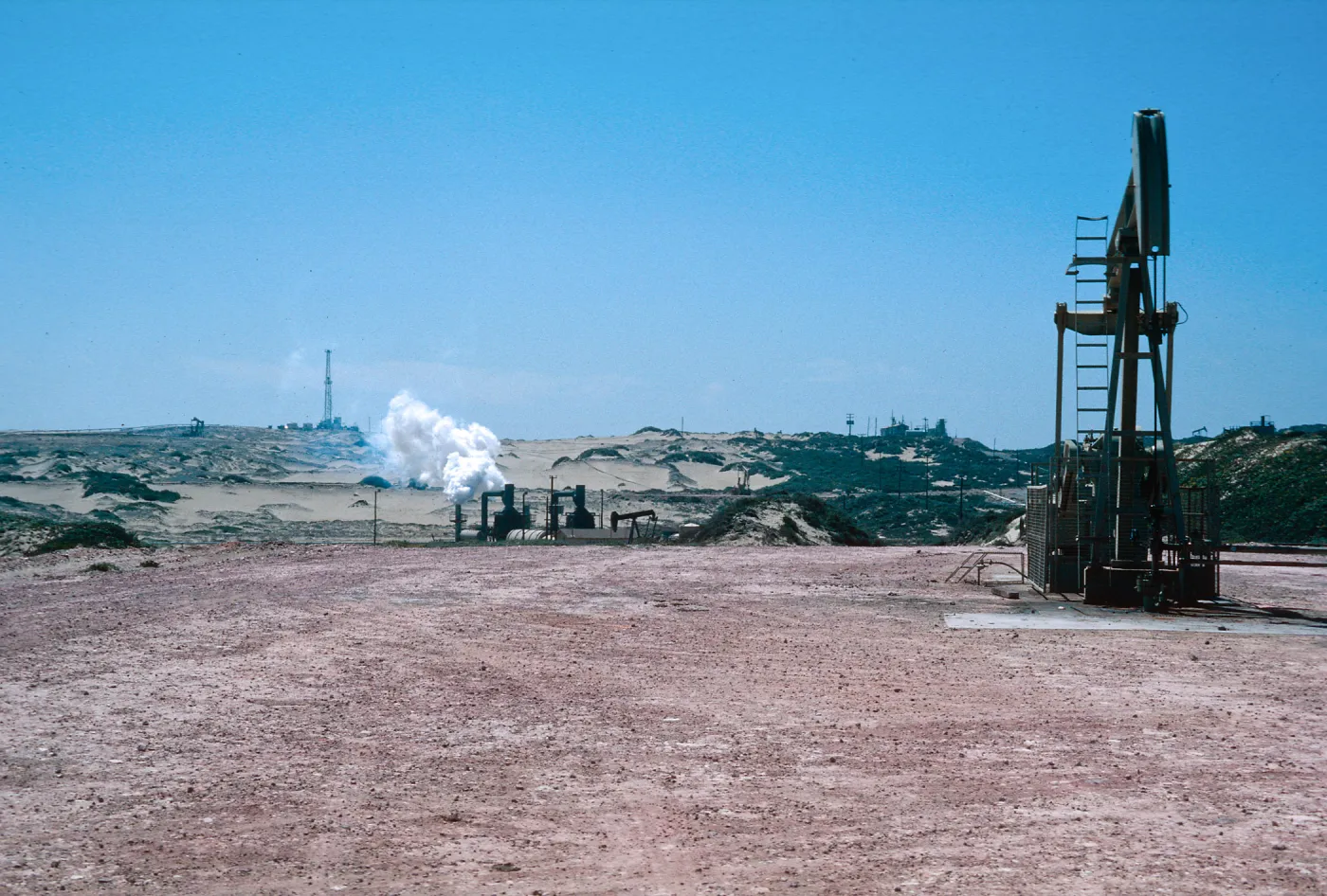 Guadalupe oil