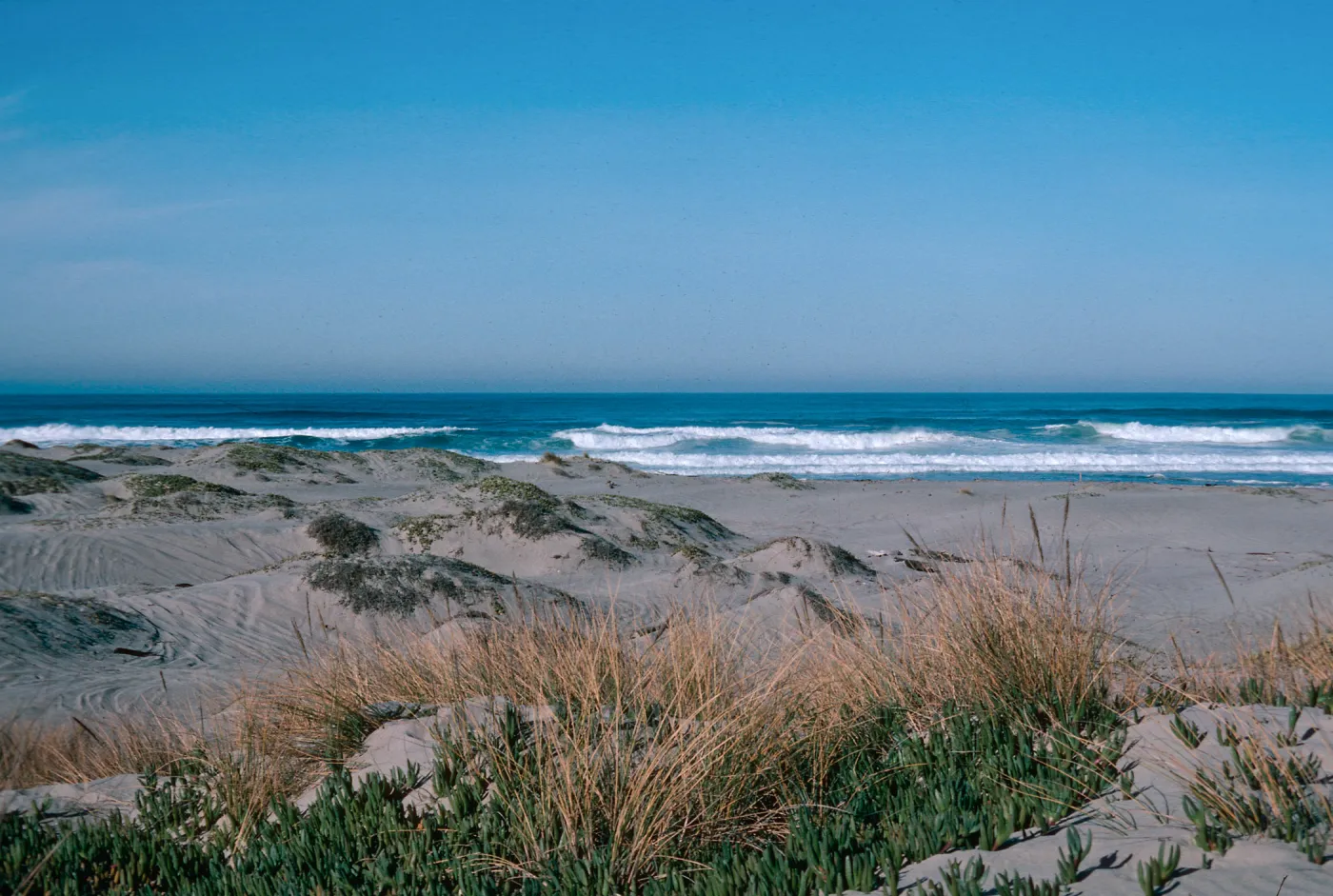 Guadalupe Dunes & surf