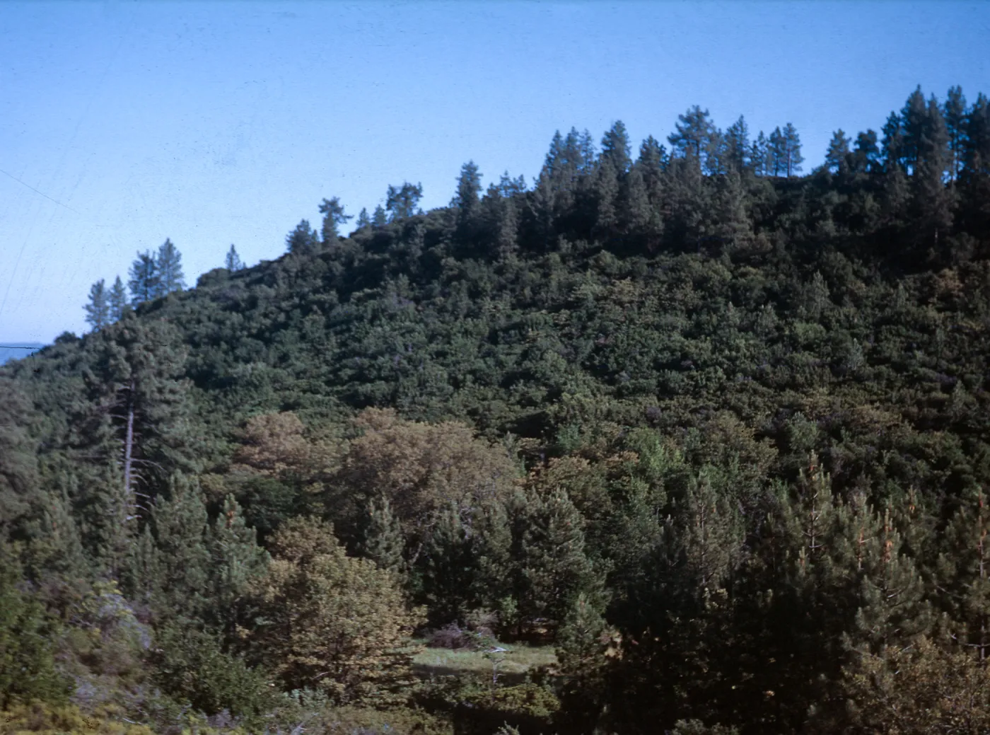 Little Pine Mountain