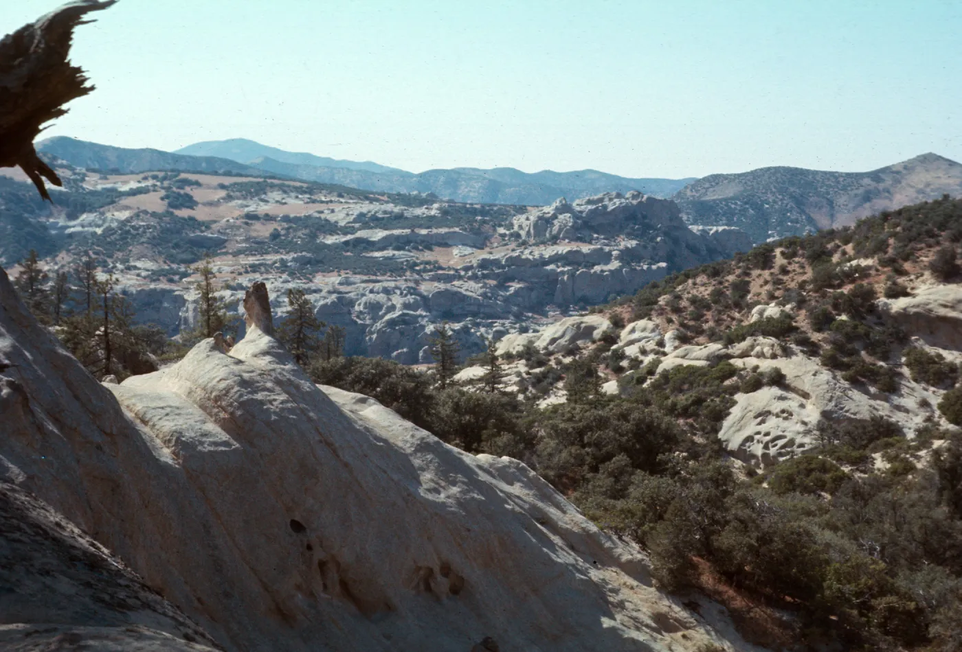 Lion Canyon