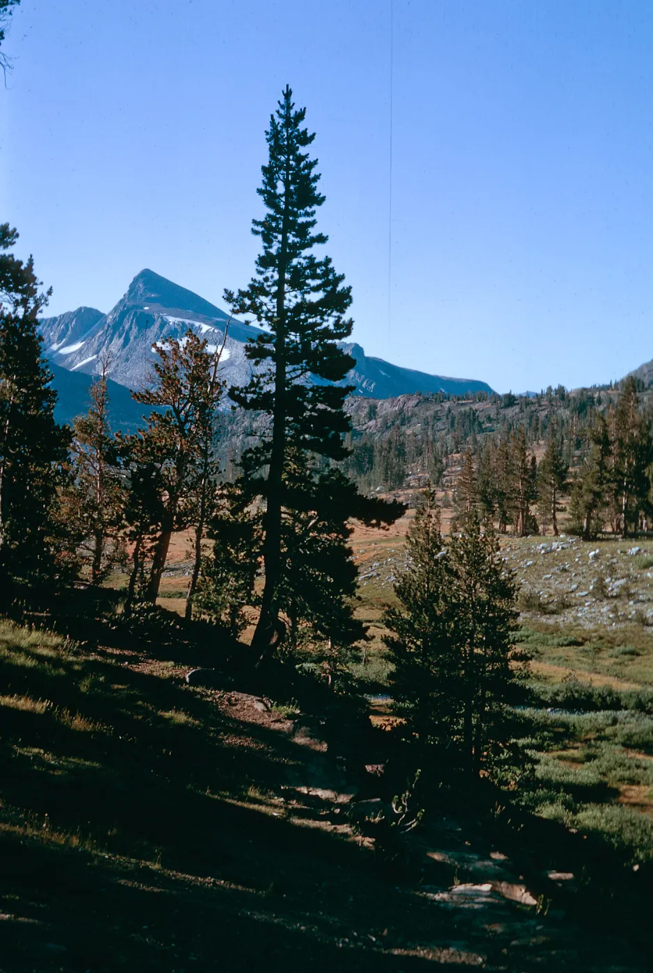 Upper Tuolumne meadows