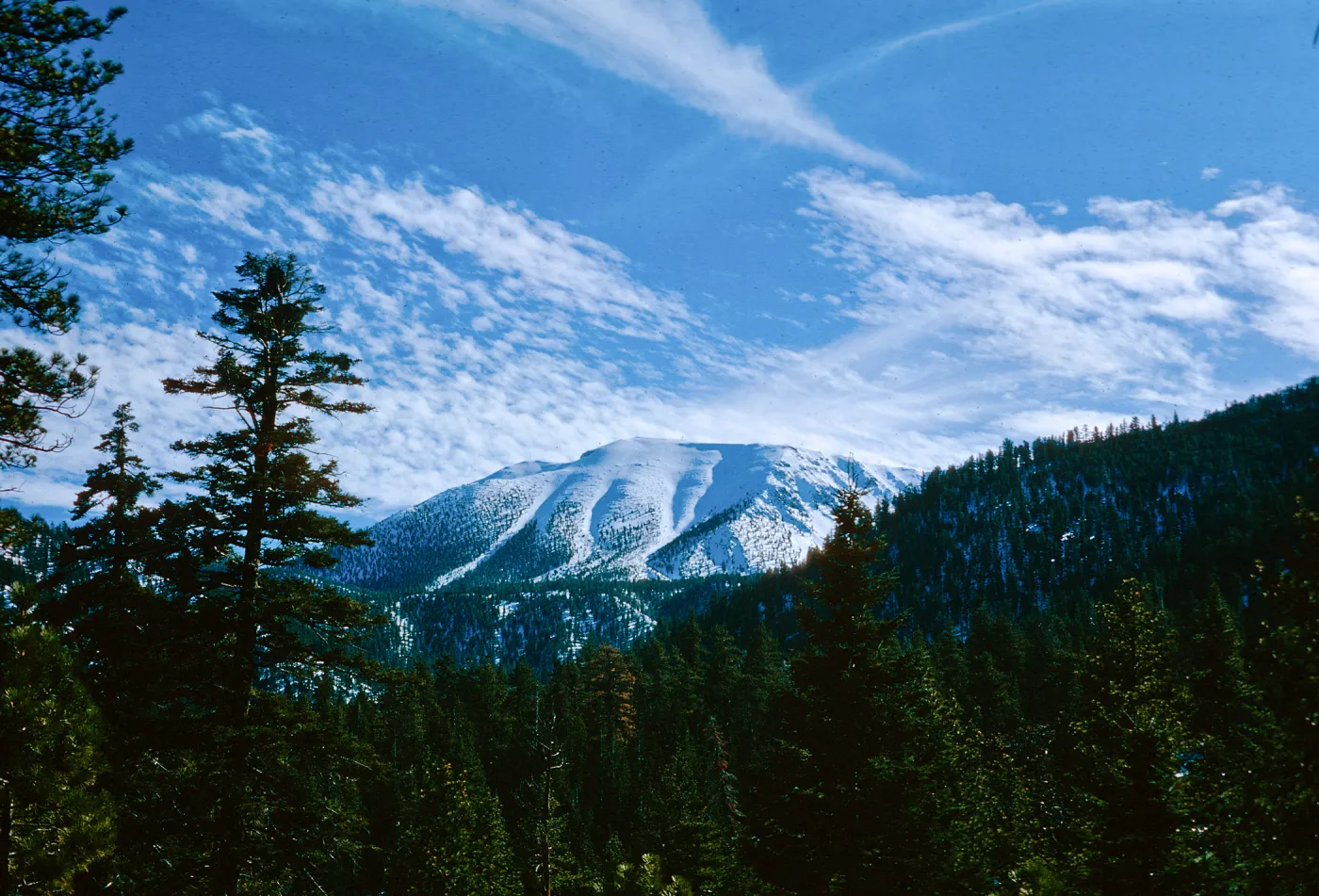 Mt. San Gorgonio