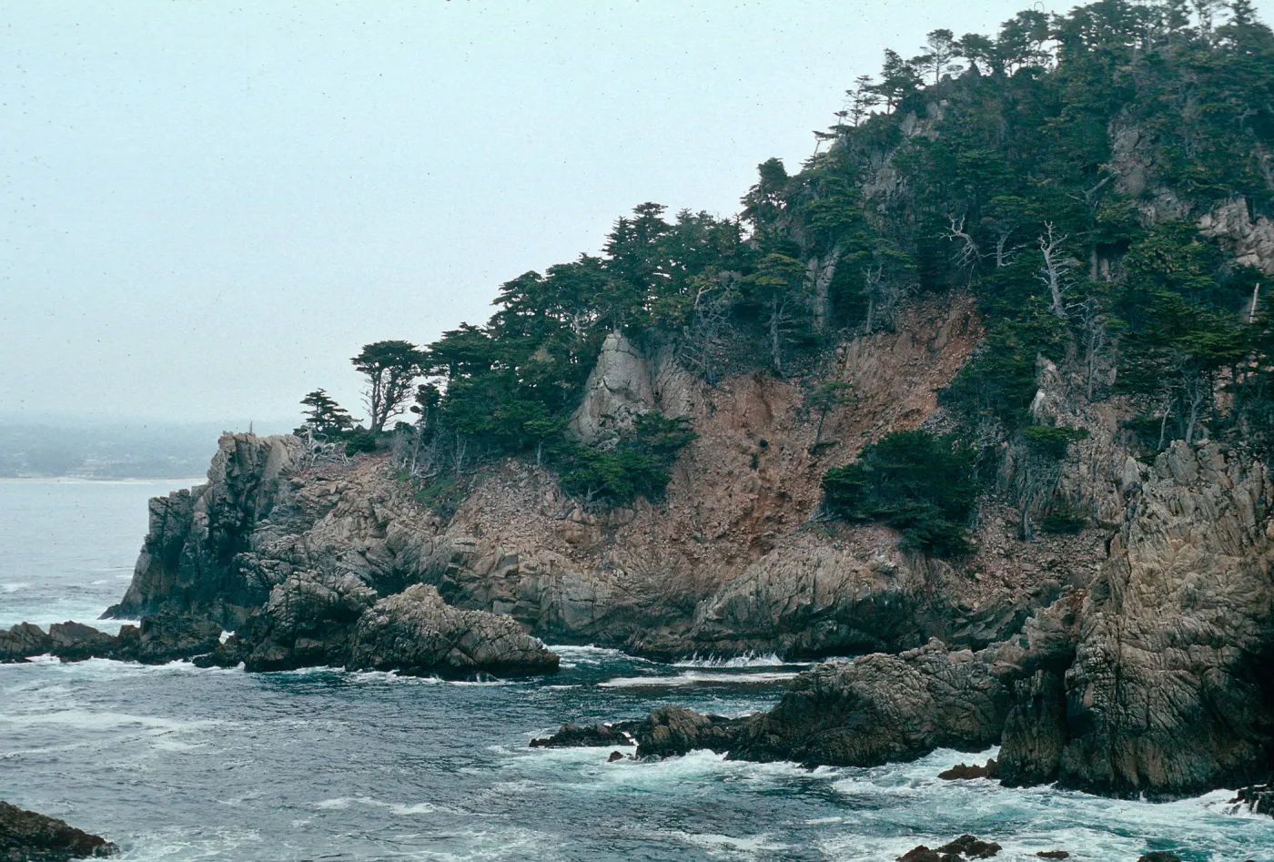 Pt. Lobos