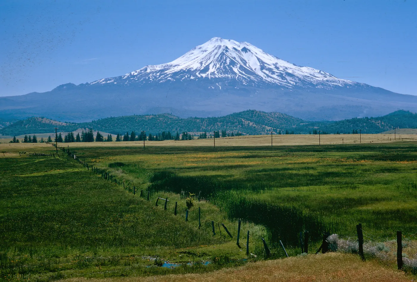 Mt. Shasta