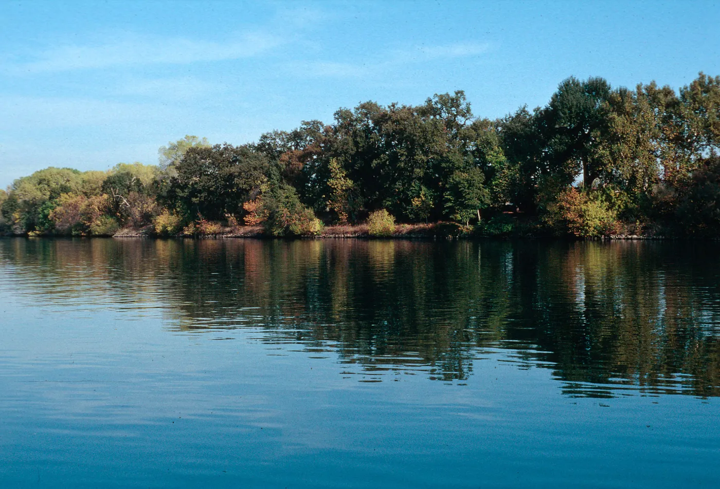Sacramento River, near Red Bluff