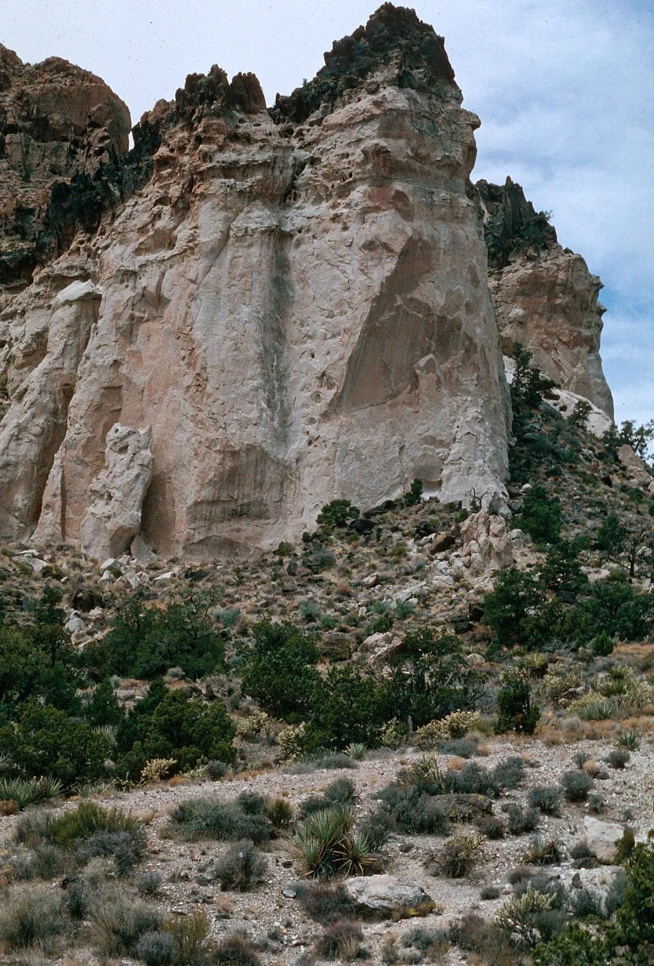 Wildhorse Canyon, Providence Mtns.