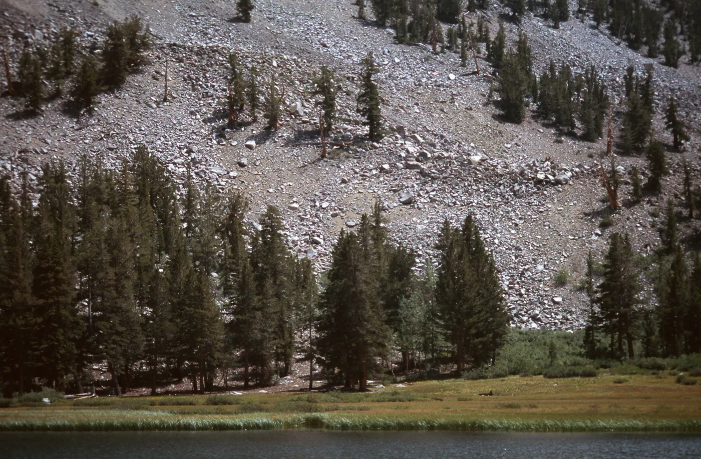 Heart Lake, upper Rock Creek, Sierra Nevada