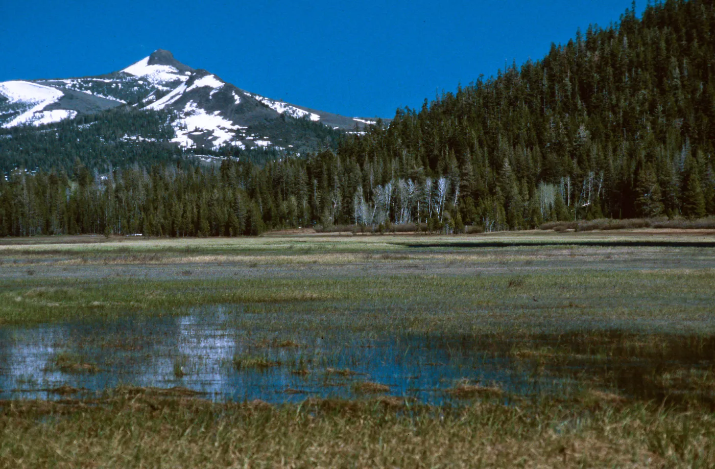 Luther Pass, Grass Lake