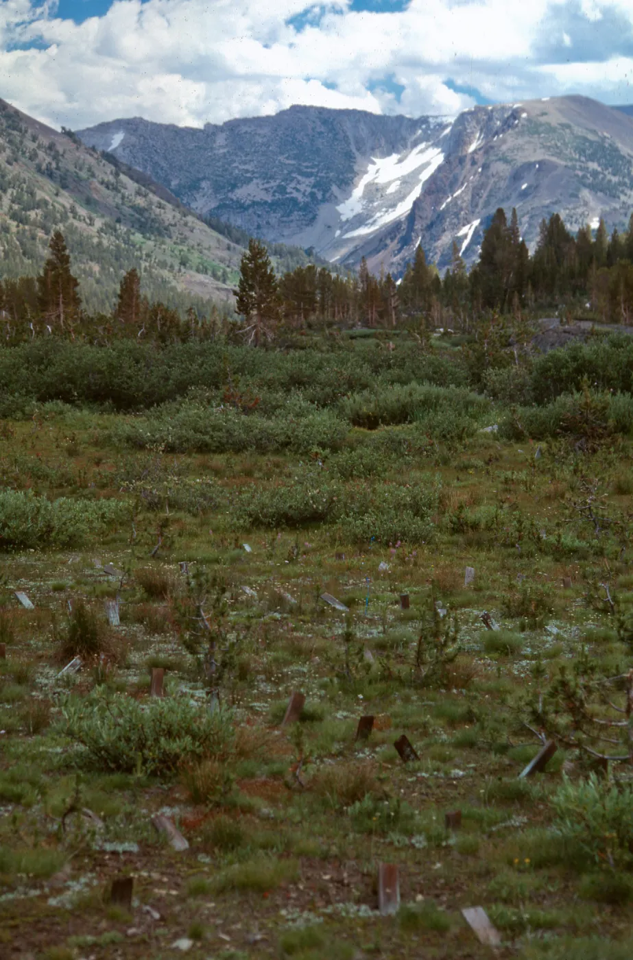 Carnegie, Alpine site, Hall Nat. area