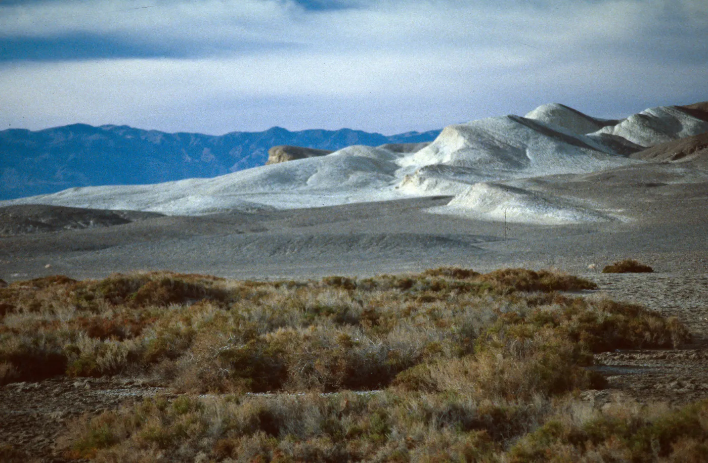 Salt Creek, Death Valley NP