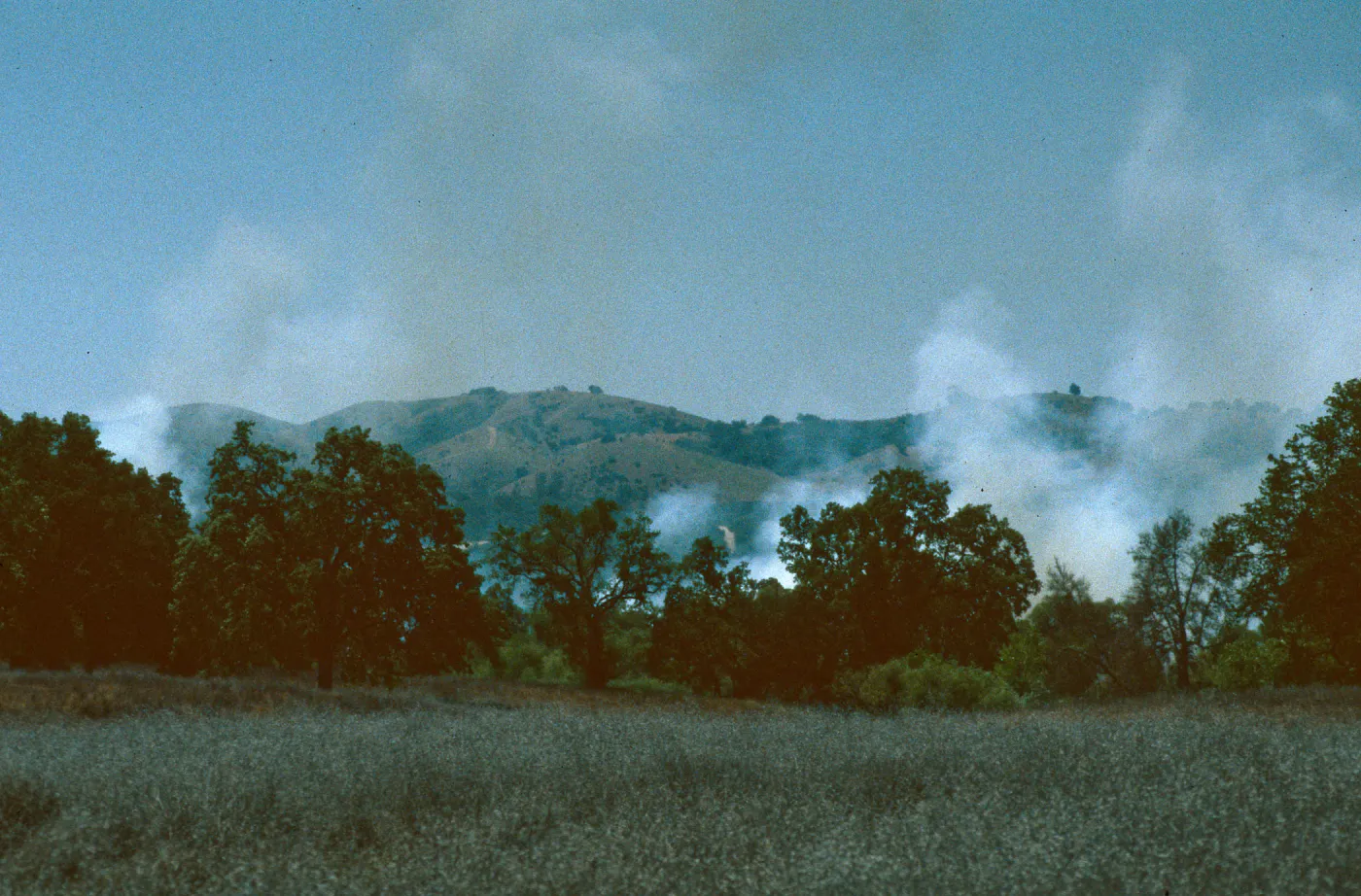 fire, Ft. Hunter Liggett, Jolon Valley