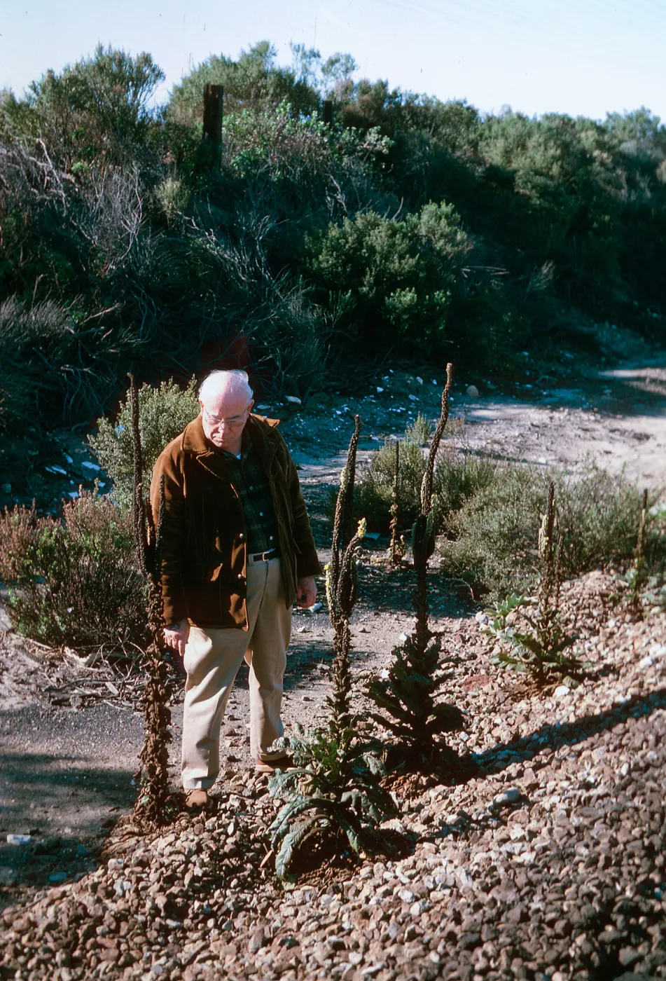 herbarium trip, Waldo Abbott, railroad west, El Capitan