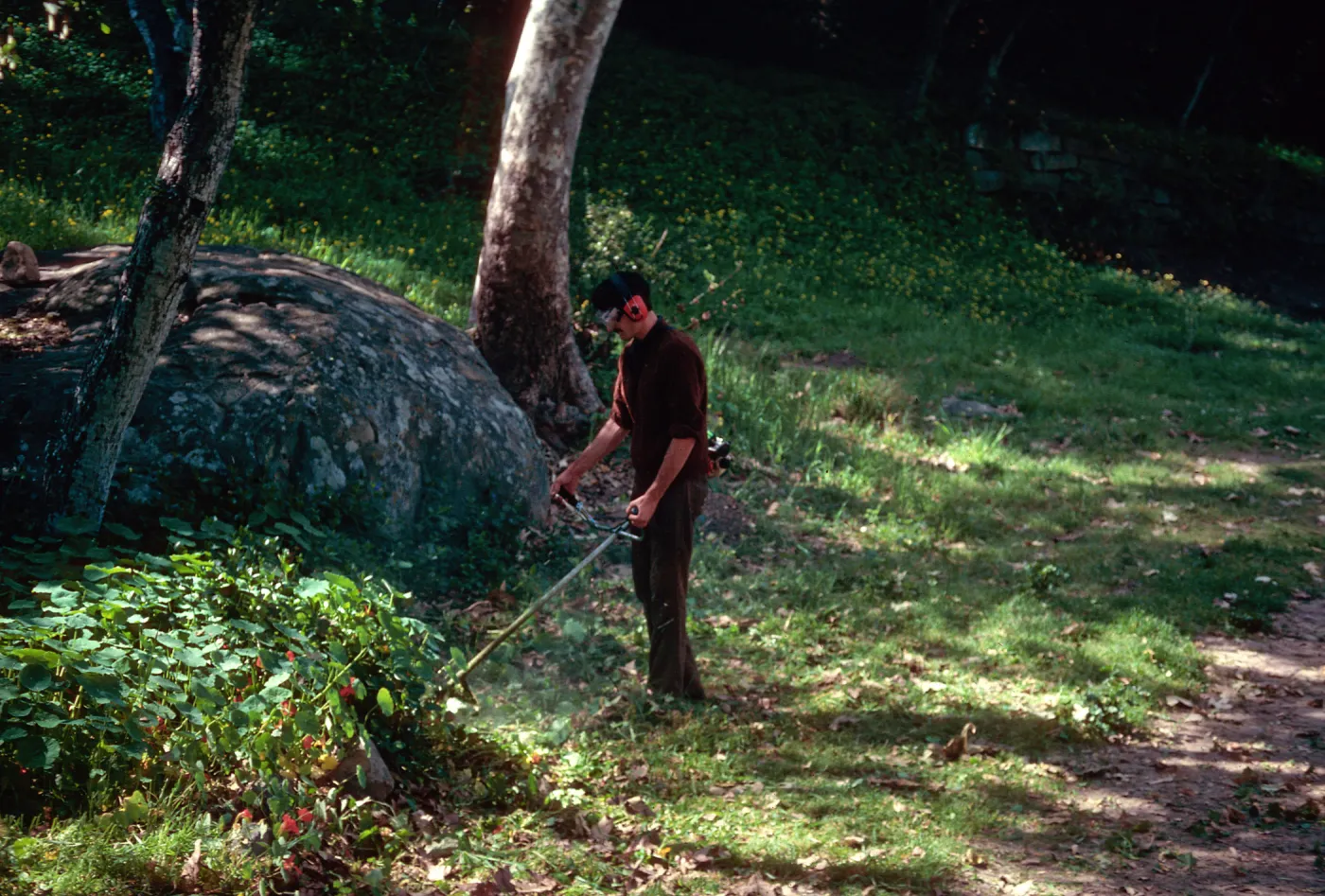 weeds eradication, Santa Barbara Museum