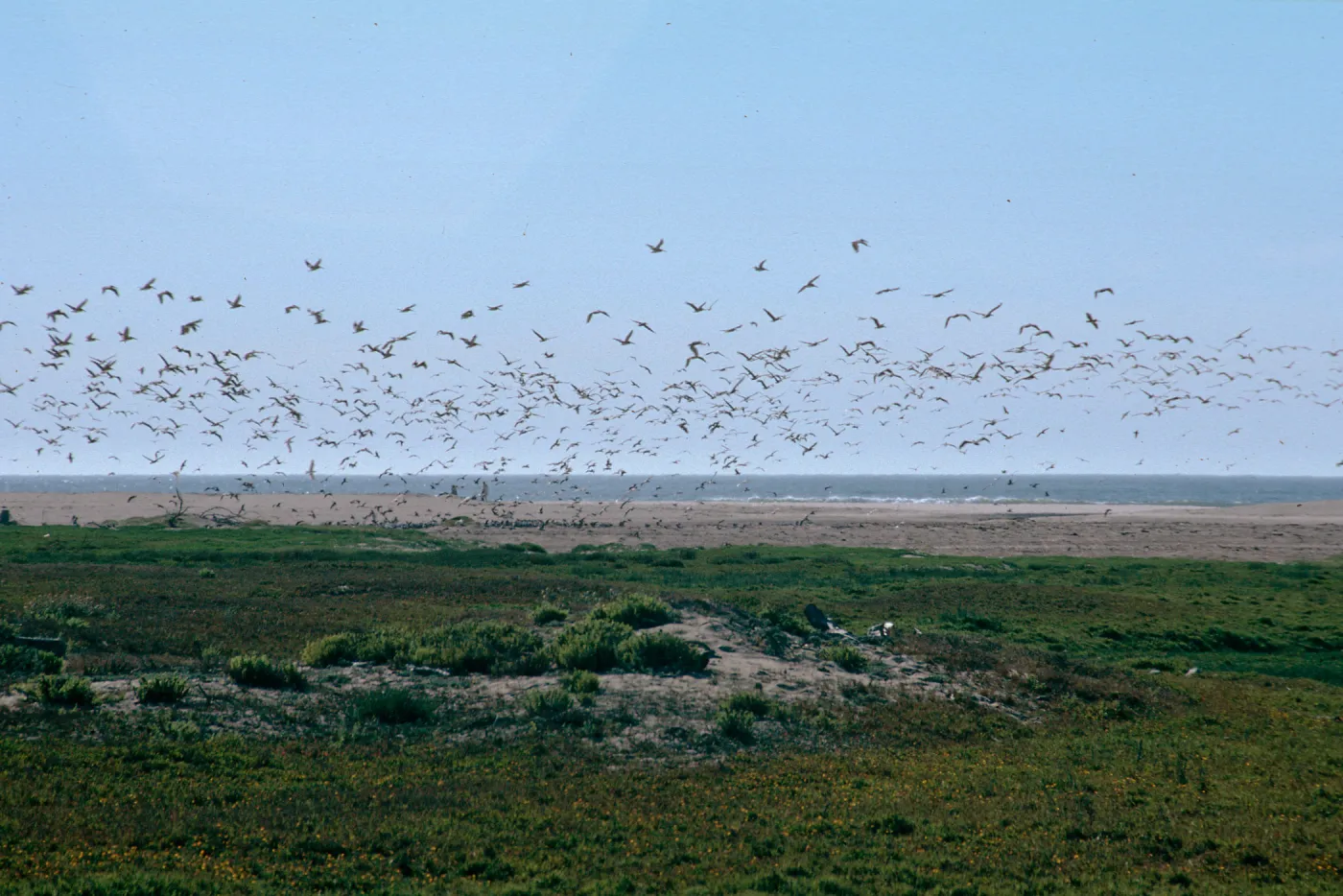 mouth, Santa Maria River