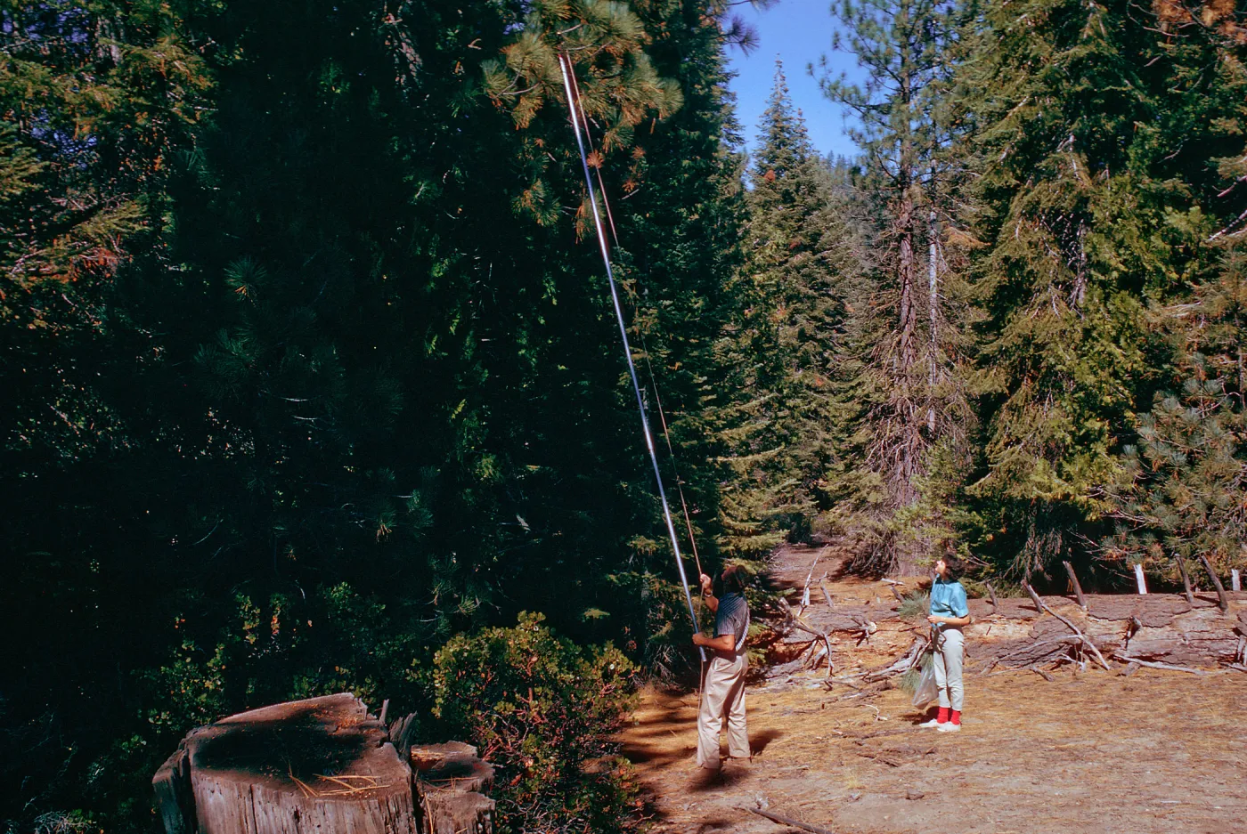Sequoia National Park