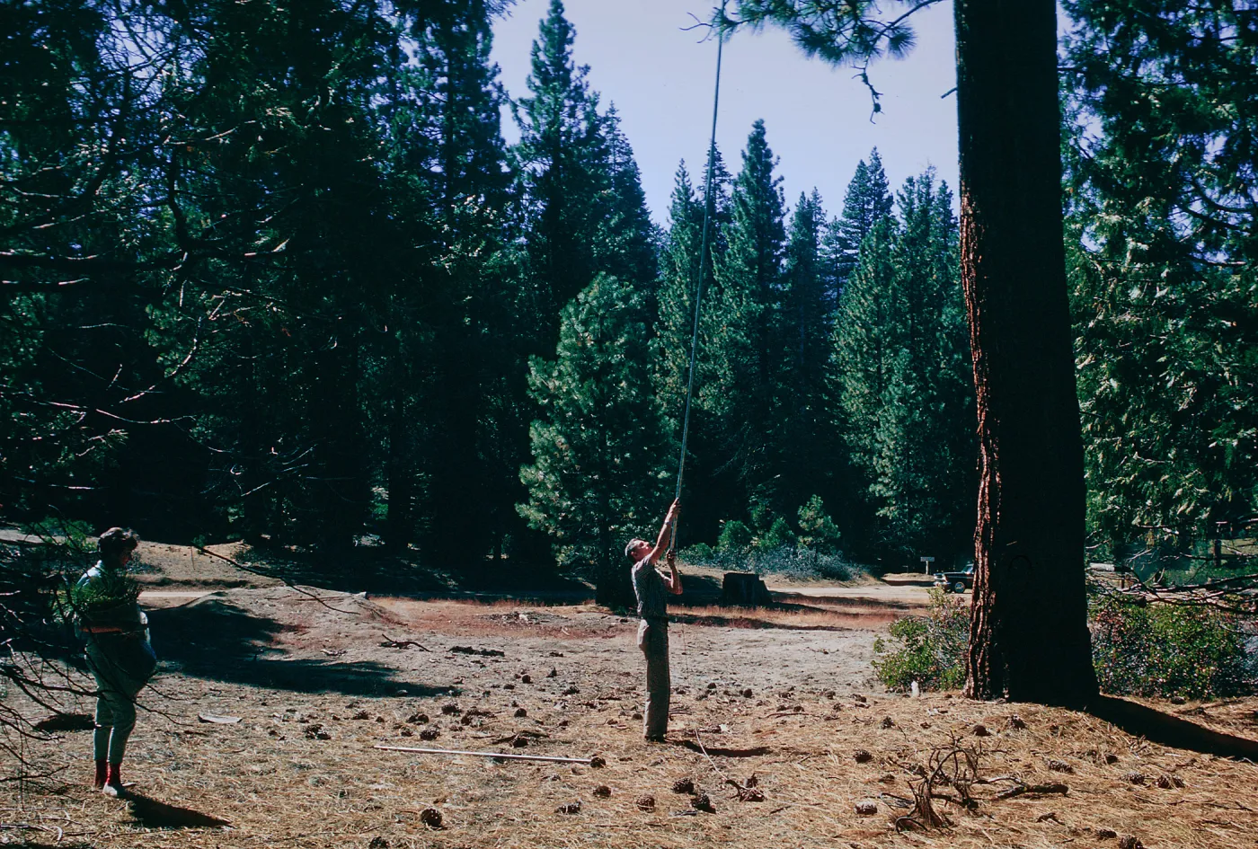 Sequoia National Park
