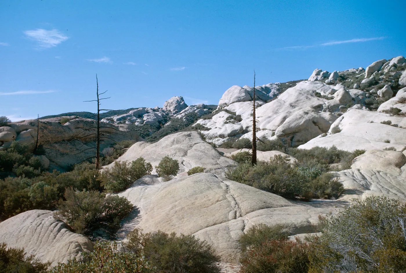 Piedra Blanca, Upper Sespe