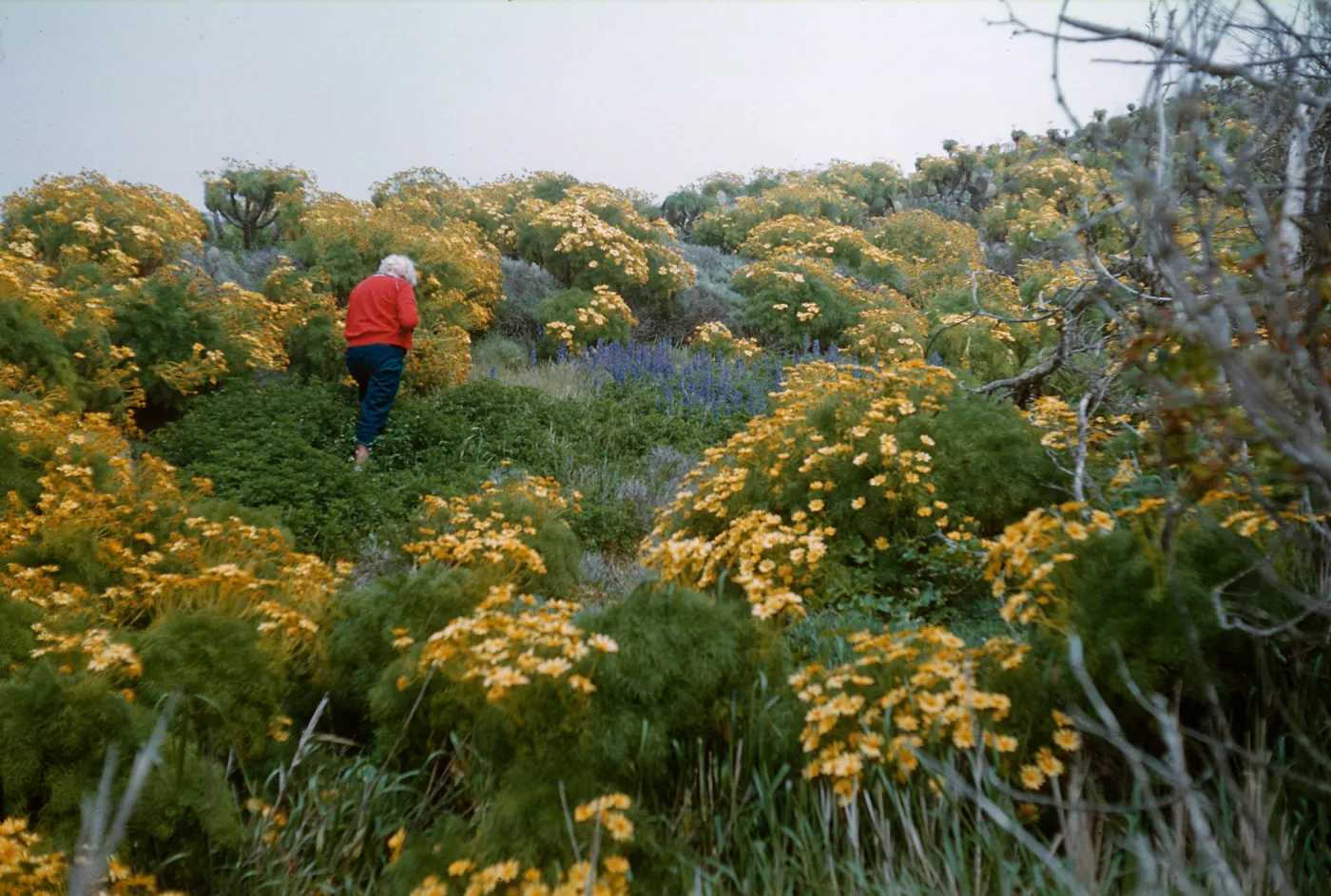 Anacapa Island