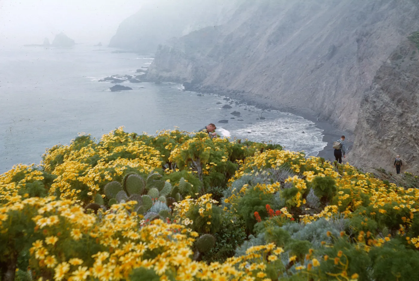 Anacapa Island