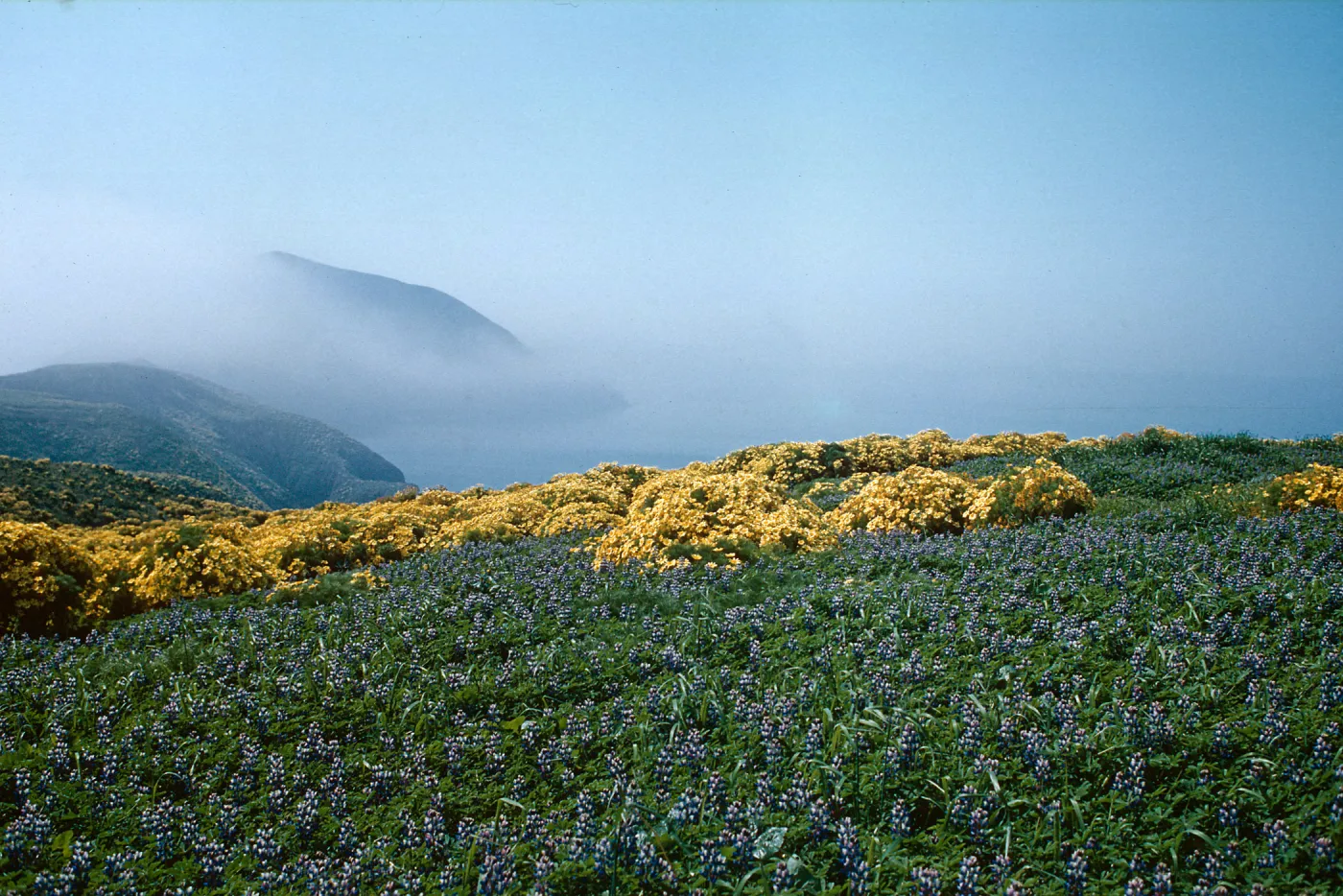 Anacapa Island