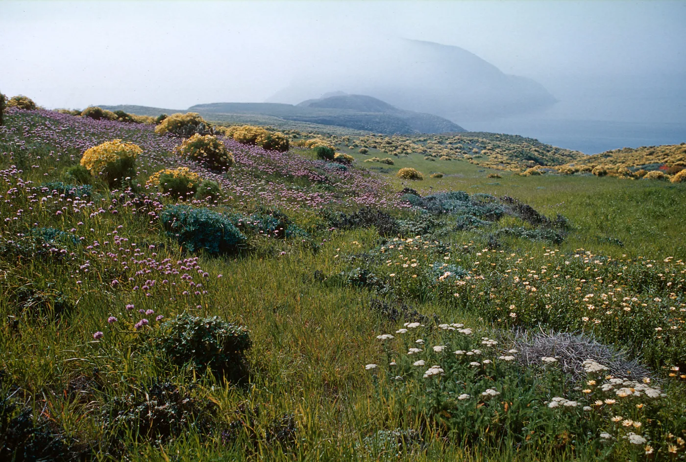 Anacapa Island