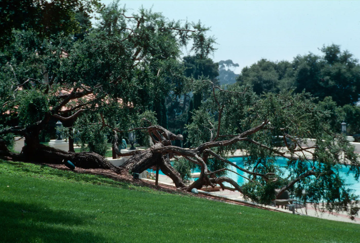 â€œLas Terrasasâ€, Chase - Hope Ranch