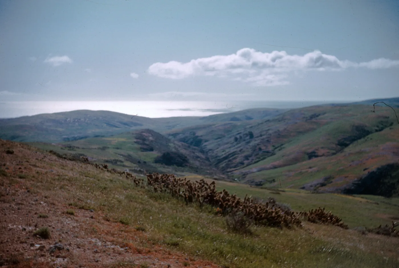 Wreck Canyon, Santa Rosa Island