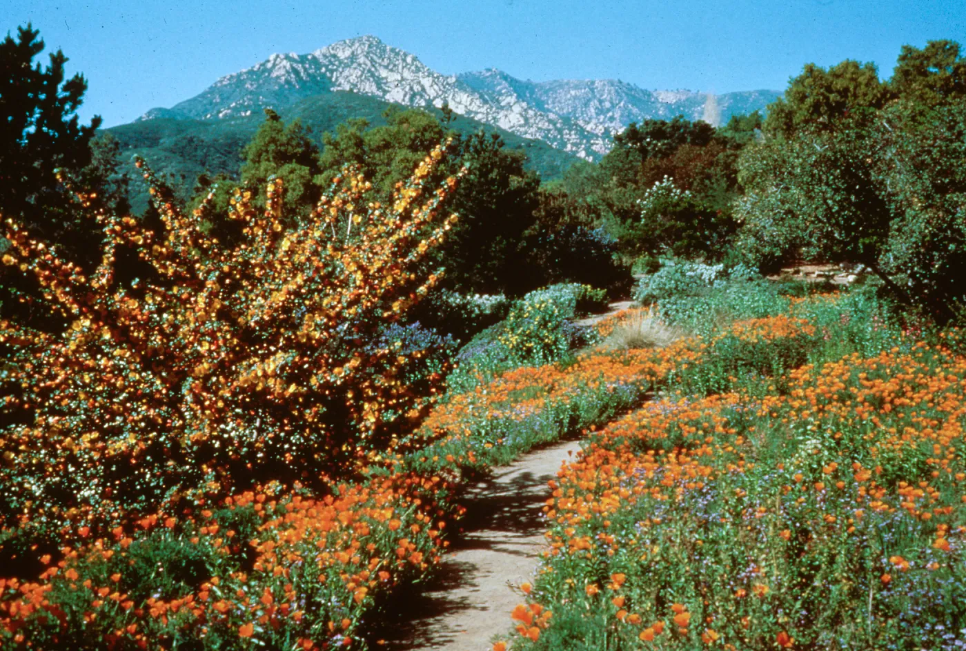 Porter Trail
